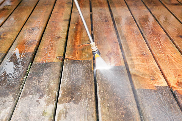 Best Fence Cleaning  in Homeland, GA